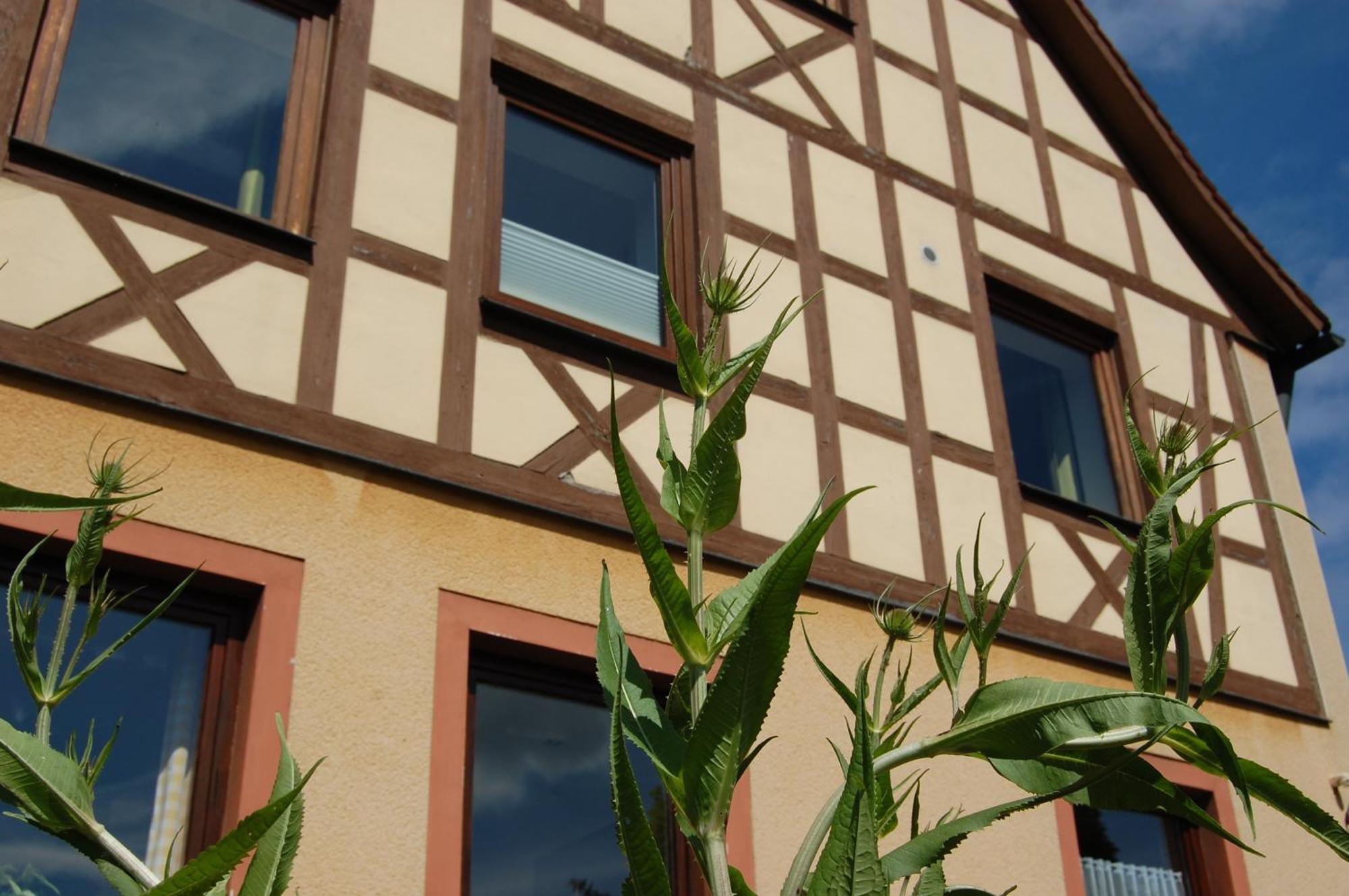 Gasthof Linden&Wildkräuterhotel Windelsbach Exteriör bild